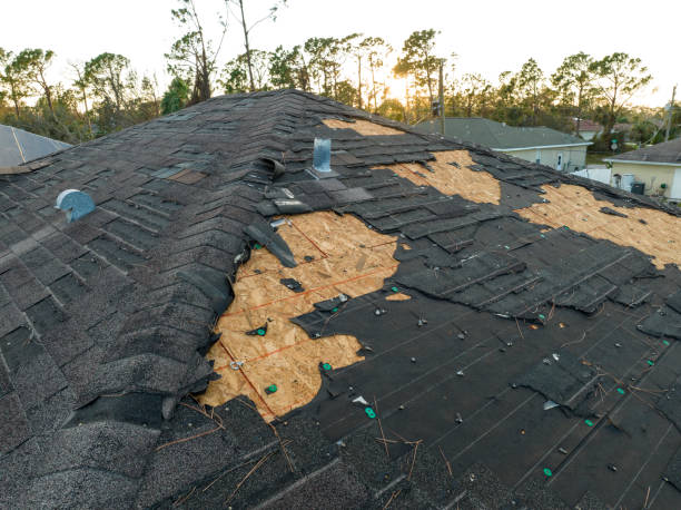 Best Roof Coating Services  in Foothill Farms, CA
